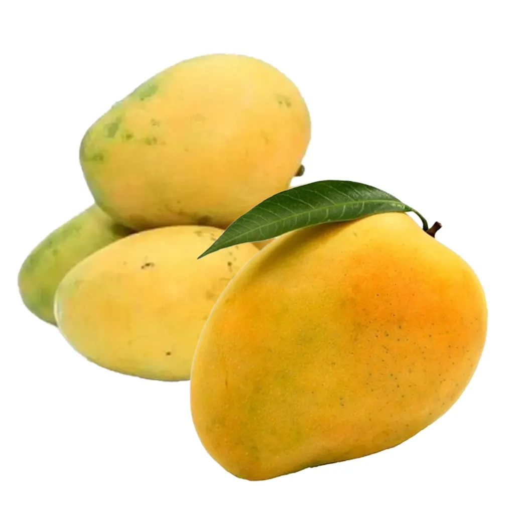 Banganapalli Mango
