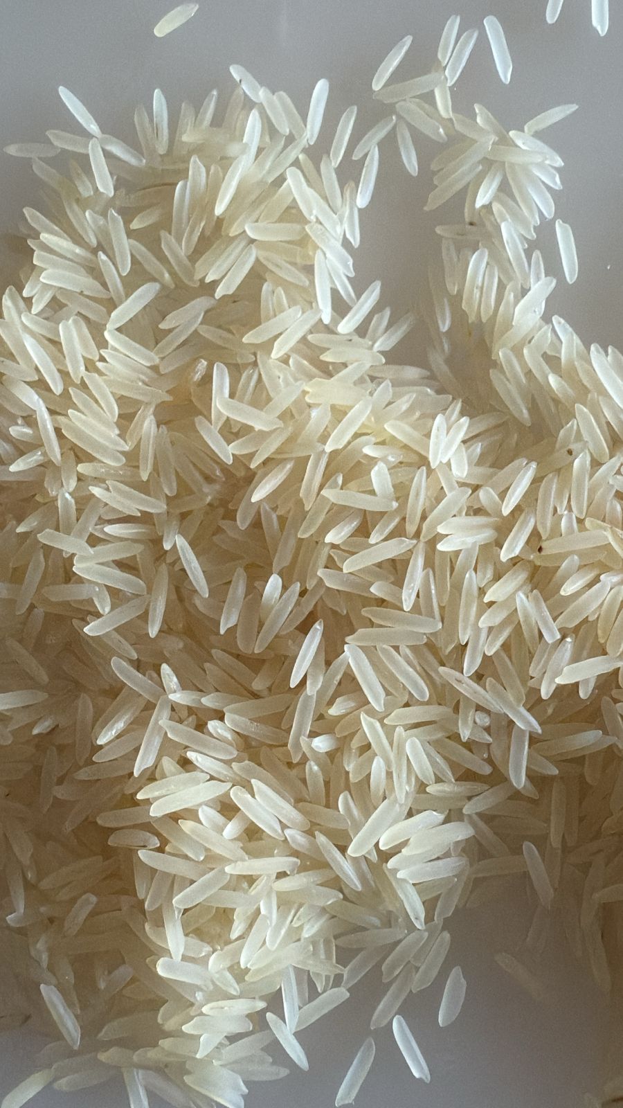 Basmati Rice