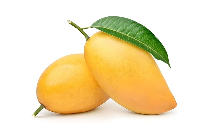 Kesar Mango