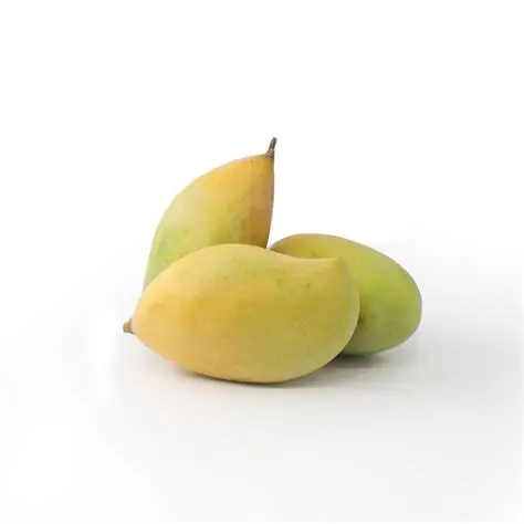 Totapuri Mango